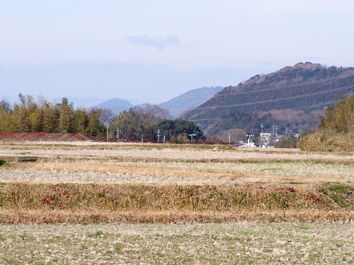 写真拡大