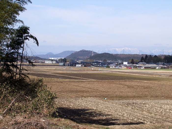 写真拡大