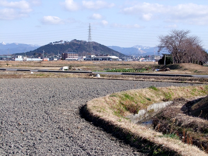 写真拡大