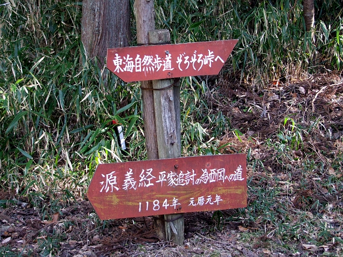 写真拡大