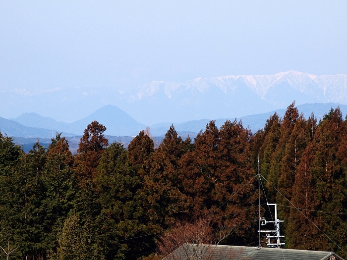 写真拡大