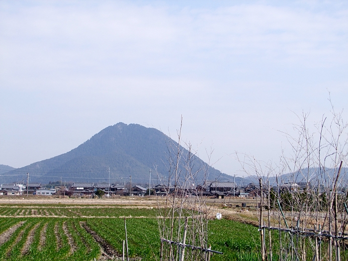写真拡大