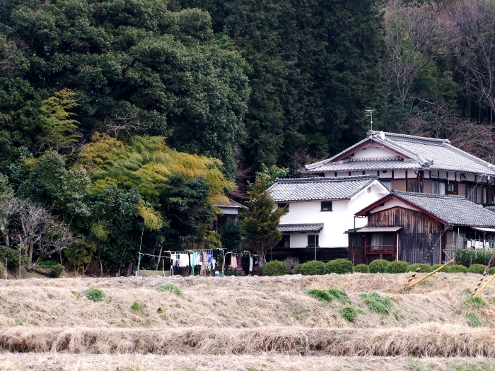 写真拡大