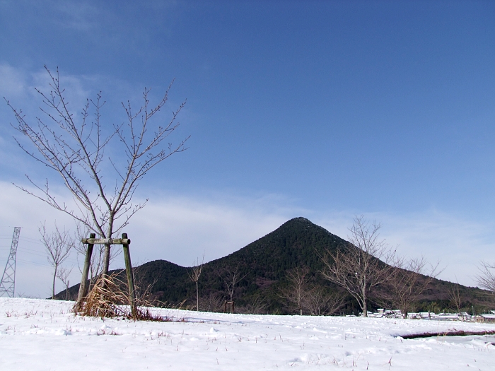写真拡大