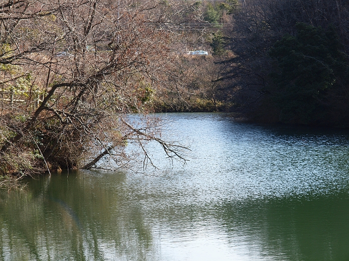 写真拡大