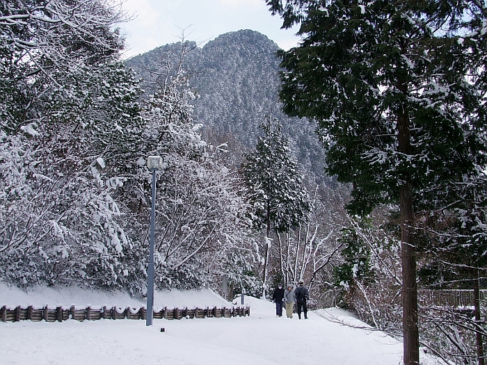 写真拡大