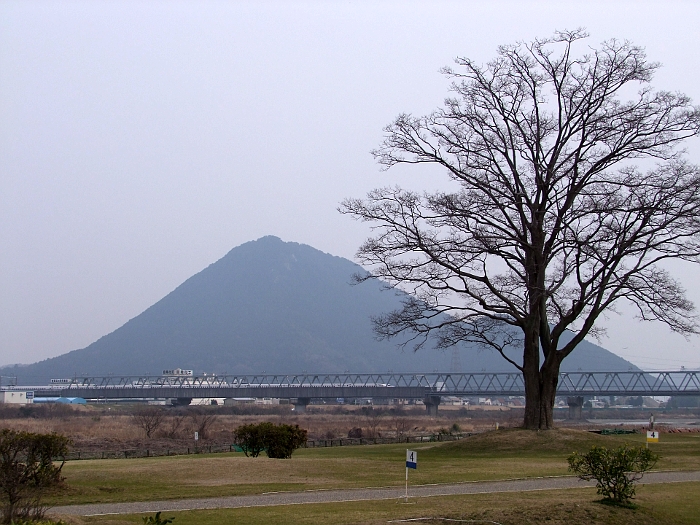 写真拡大
