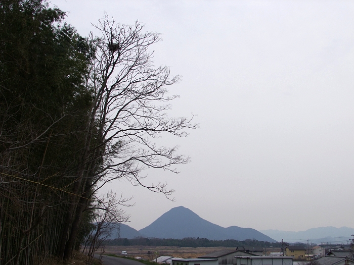 写真拡大