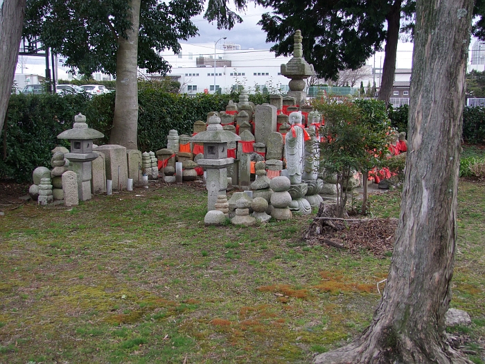 写真拡大