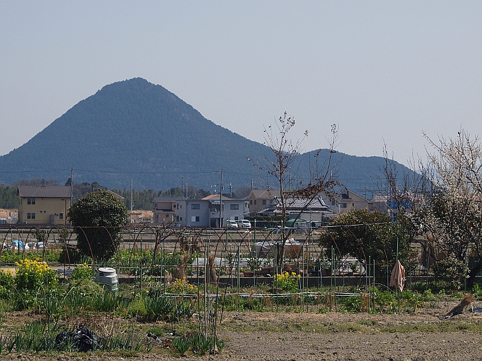 写真拡大