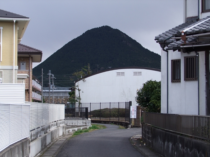 写真拡大