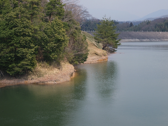 写真拡大