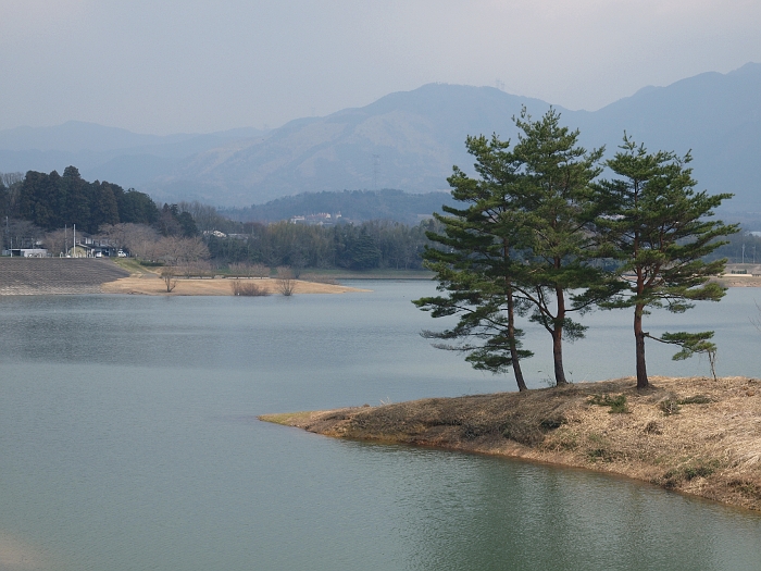 写真拡大
