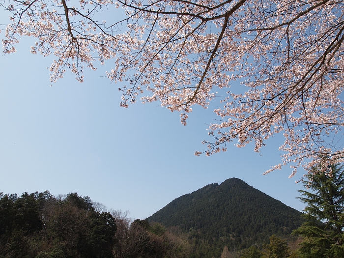 写真拡大