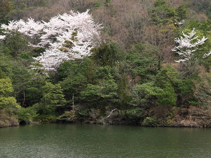 写真拡大