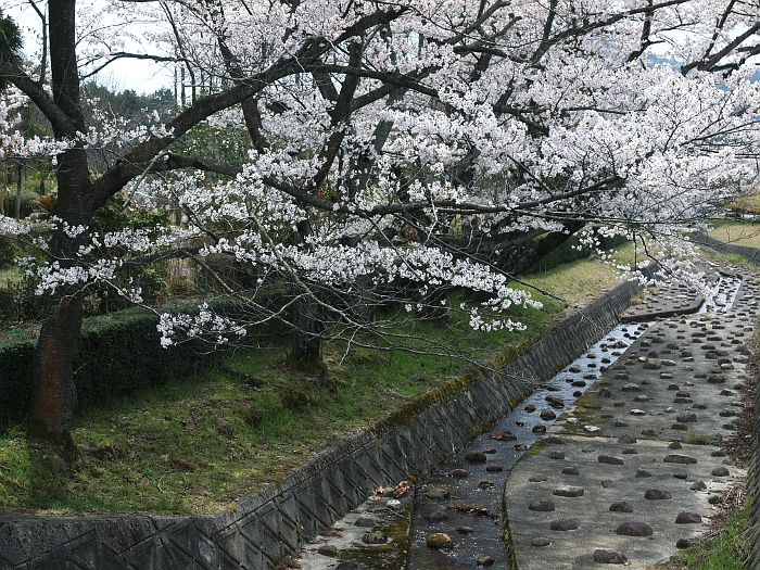 写真拡大