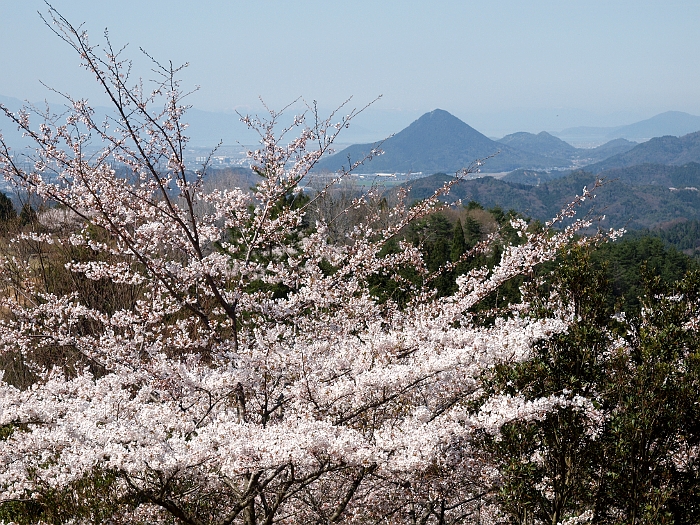 写真拡大