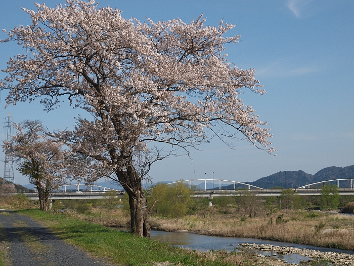 写真拡大