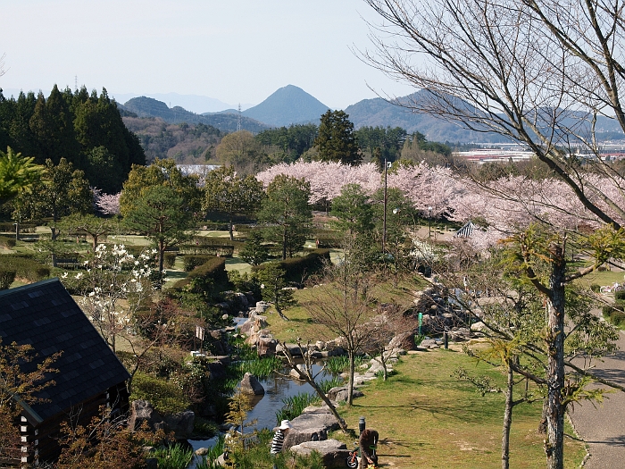 写真拡大