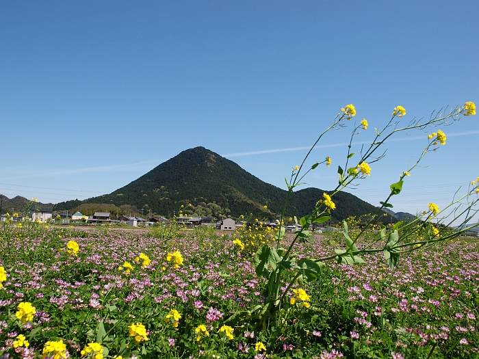写真拡大