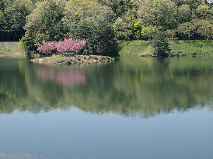 写真拡大