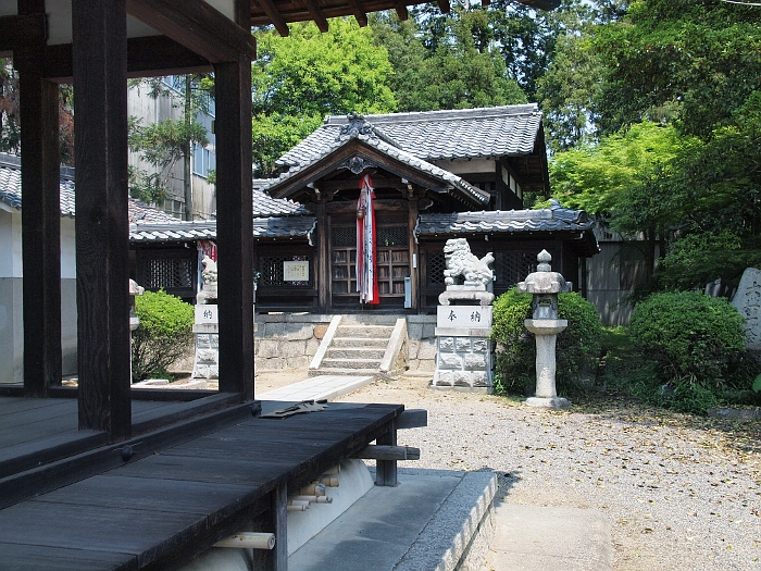 写真拡大