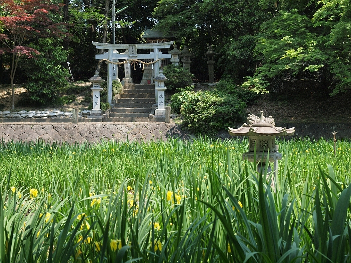 写真拡大