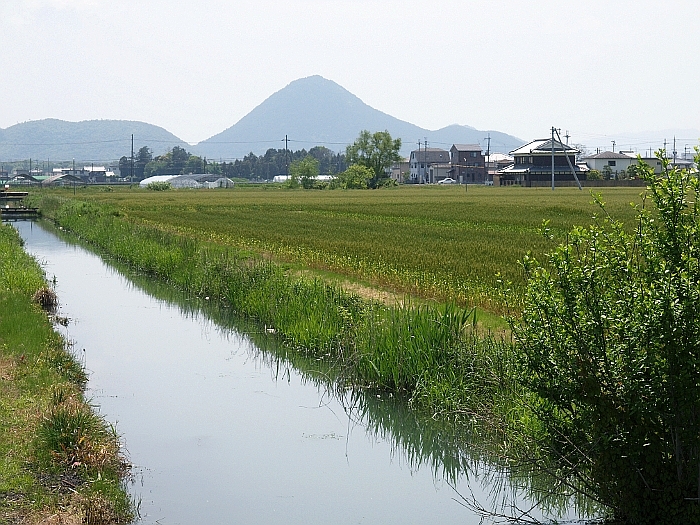 写真拡大