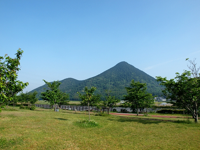 写真拡大
