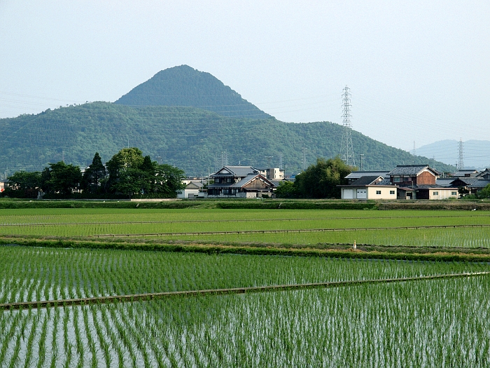 写真拡大