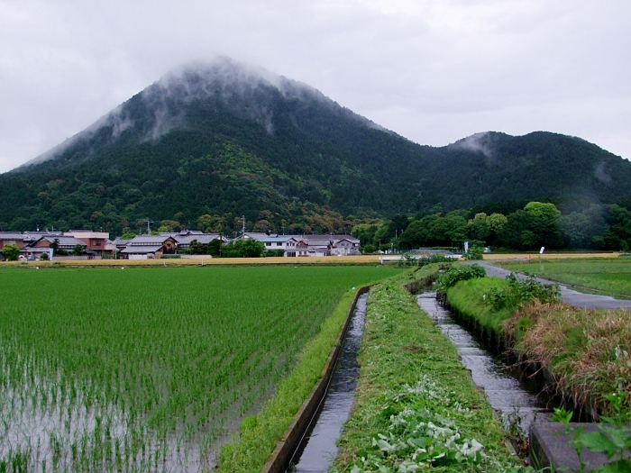 写真拡大