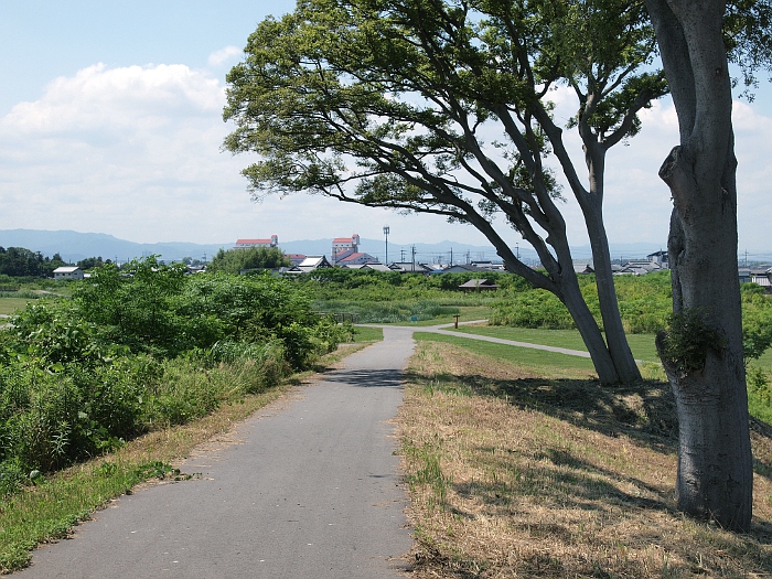 写真拡大