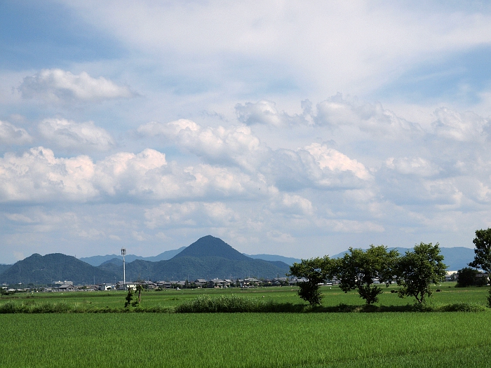 写真拡大