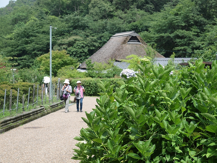 写真拡大