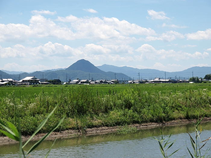 写真拡大