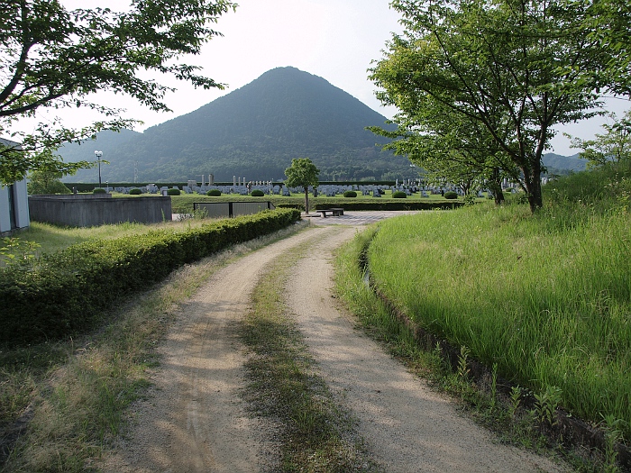 写真拡大