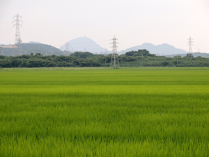 写真拡大