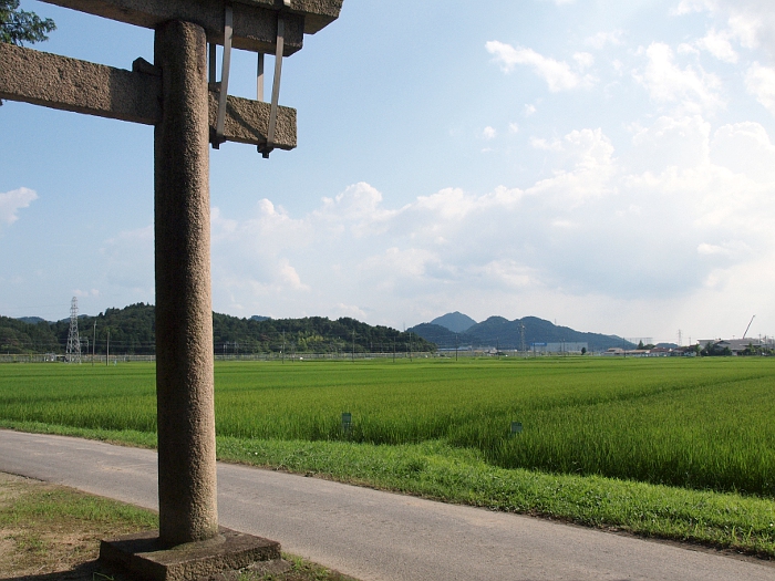 写真拡大