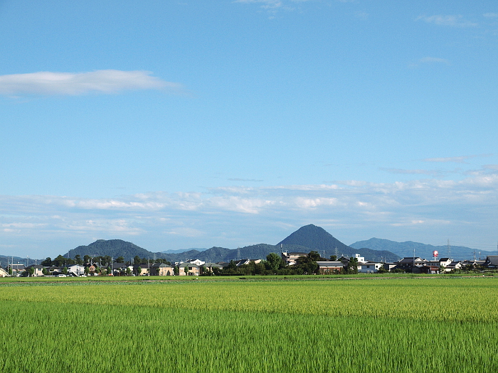 写真拡大