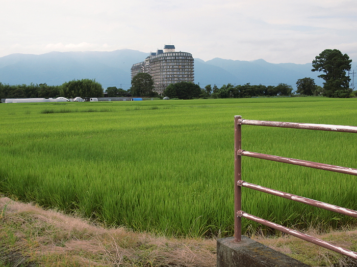 写真拡大