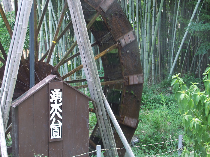 写真拡大