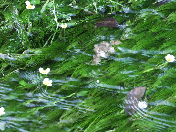 写真拡大