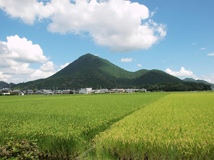 写真拡大