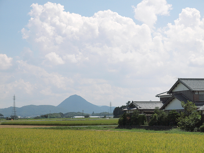 写真拡大