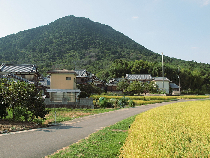 写真拡大