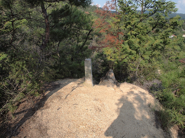 写真拡大