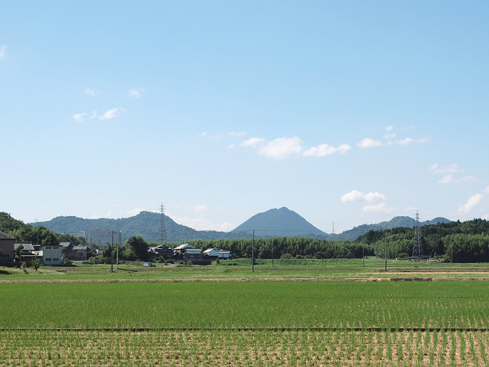 写真拡大