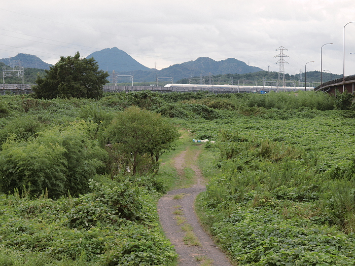 写真拡大