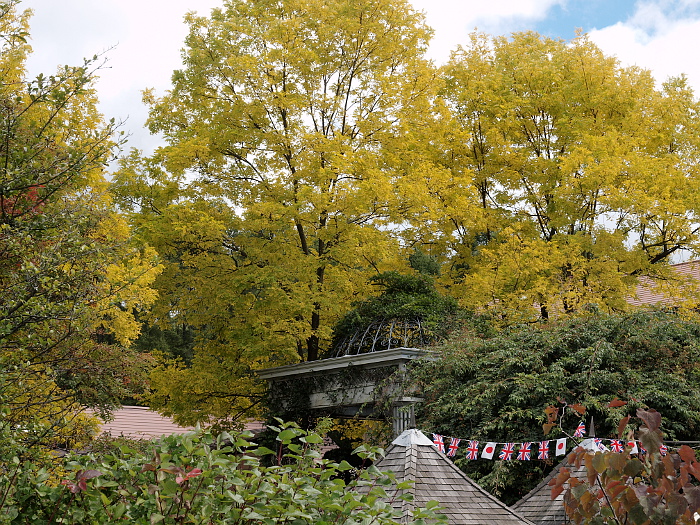 写真拡大
