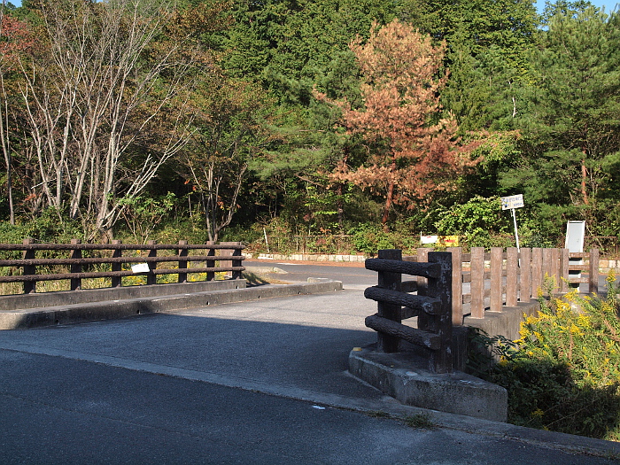 写真拡大